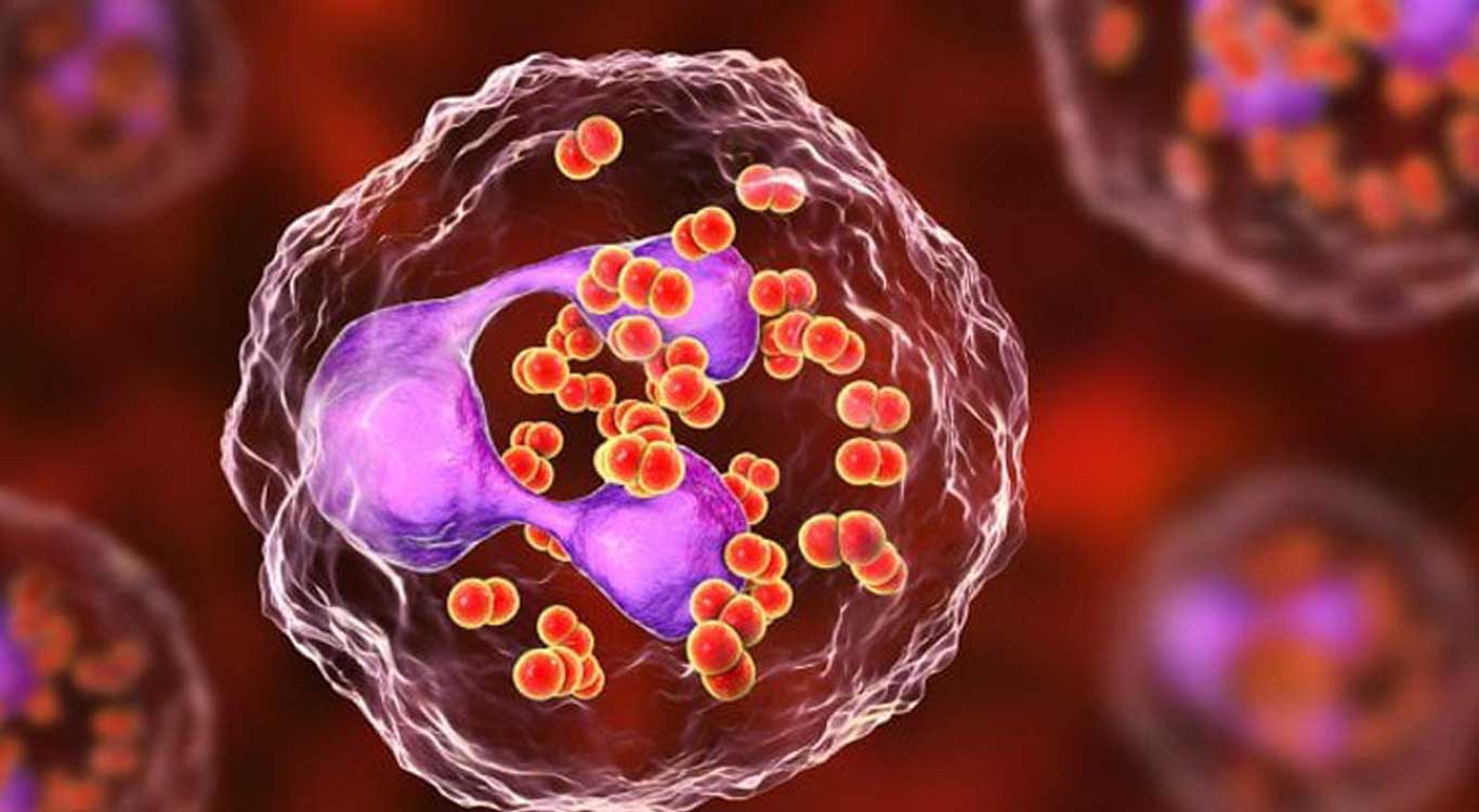 Dangerous-and-deadly-sexually-transmitted-diseases