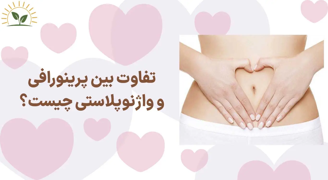What-is-the-difference-between-perinorrhaphy-and-vaginoplasty